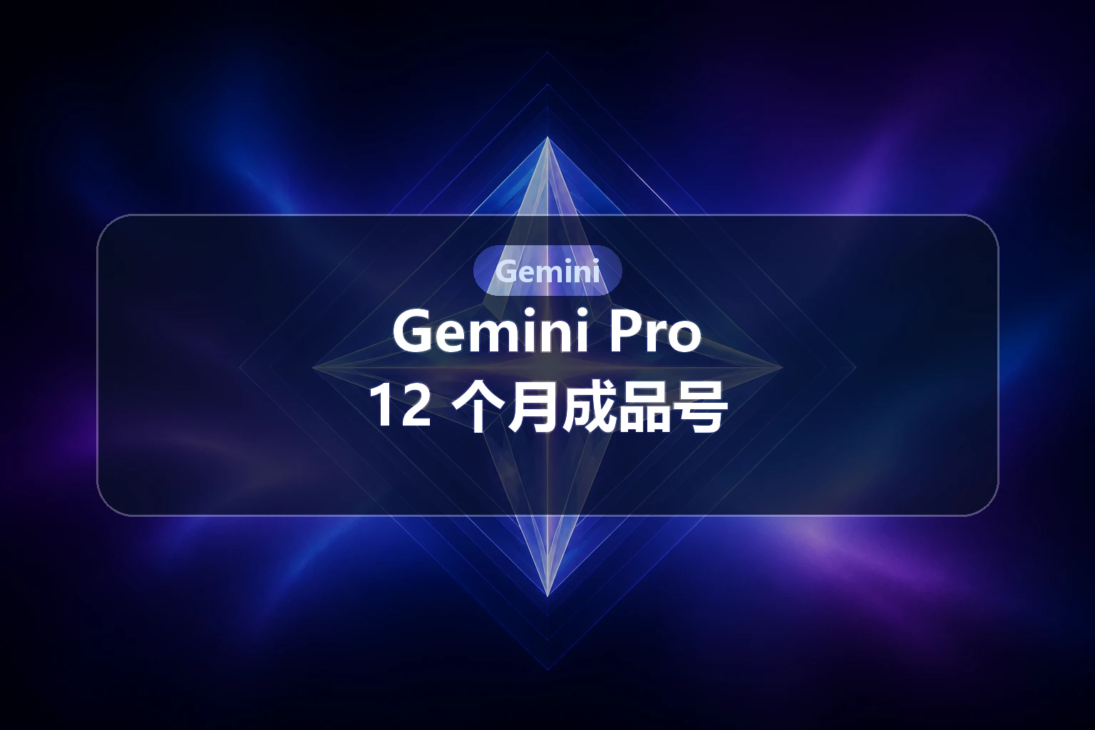Gemini Pro 12个月成品号