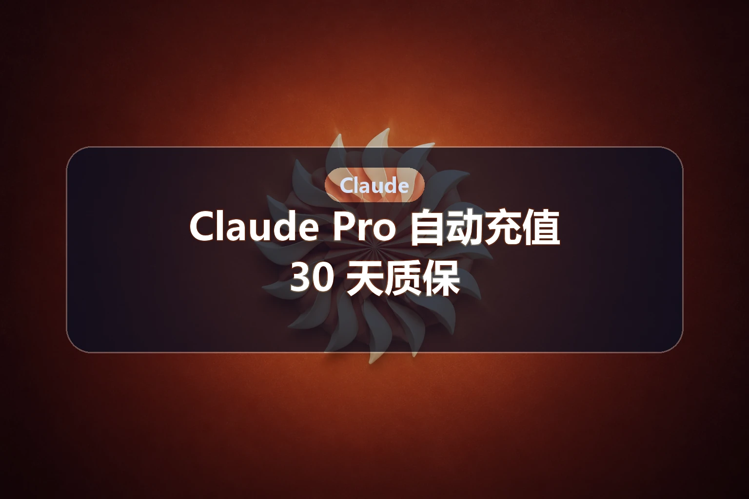 Claude Pro 自动充值（30天质保）